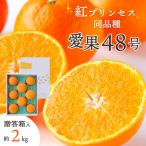 紅プリンセス と同品種 愛媛果試48号 箱入り 約2kg