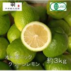 大崎上島産オーガニックグリーンレモン 約3kg