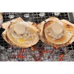 ふるさと納税 網走市 かにやで人気の片貝ホタテ10枚