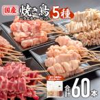 ふるさと納税 宮崎市 国産若鶏の焼き鳥5種60本バラエティセット【冷凍】計1.74kg