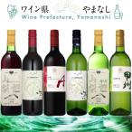 ふるさと納税 山梨県 これぞ山梨 「GI山梨」認証ワイン 6本セット