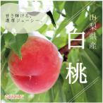 ふるさと納税 南アルプス市 2026年度【先行予約】山梨県産 白桃 1.8kg相当 贈答 (ALPAJ018)