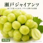 紀州かつらぎ山の瀬戸ジャイアンツ 約2kg