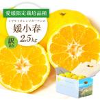 希少柑橘 媛小春 ひめこはる 2.5kg