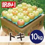 ふるさと納税 青森市 【2025年12月より順次発送】平均糖度13度以上! トキ 約10kg 訳あり