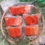 ふるさと納税 琴浦町 国産 とっとり 琴浦グランサーモン 1kg(200g×5パック)