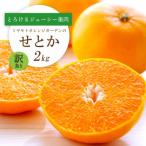ショッピングせとか ふるさと納税 八幡浜市 【2026年2月以降発送】とろける濃厚柑橘 せとか2kg 愛媛県八幡浜産【訳あり】【C25-185】