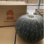 fu.... налог Obihiro город Hokkaido Obihiro город производство тыква [.....]5kg сахар раз 15~19 раз 