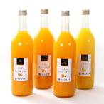 無添加甘夏ジュース 約720ml×4本