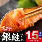 ふるさと納税 泉佐野市 銀鮭 切り身 1.5kg【TVで紹介 訳あり サイズ不揃い 12切れ前後】 010B1559