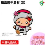 の応援をお願いします 寄附額10 000円