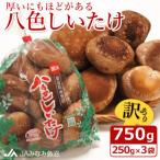 ふるさと納税 南魚沼市 【家庭用】厚いにもほどがある「八色しいたけ」750g(250g×3袋) 訳あり 不揃い 農家応援