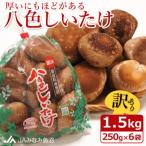 ショッピングふるさと納税 訳あり 不揃い ふるさと納税 南魚沼市 【家庭用】厚いにもほどがある「八色しいたけ」1.5kg(250g×6袋) 訳あり 不揃い 農家応援