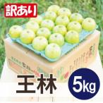 ふるさと納税 青森市 平均糖度13度以上! 王林 約5kg 訳あり りんご 青森県産