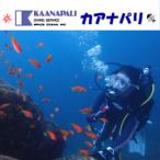 徳島最南端の海 でファンダイビング ライセンス必須