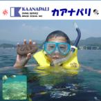 徳島最南端のでスノーケリング体験 ライセンス不要