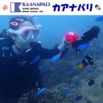 徳島最南端の海 で体験ダイビング ライセンス不要