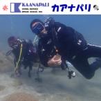 徳島最南端の海 で初級スクーバダイビングライセンス取得