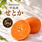 中島産 みかん S~L サイズ 5kg