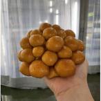 fu.... налог высота гора город .. jumbo намеко итого примерно 1.8kg( примерно 180g×10 упаковка ) KN002