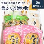 海からの5種各2個入り