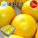 ふるさと納税 芸西村 温室文旦 5kg【SKS065】