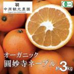 大崎上島産オーガニック圓妙寺ネーブル 約3kg