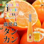 九州を飲む 九州果実 シロップ タンカン 500ml
