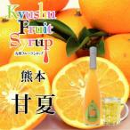 九州を飲む 九州果実 シロップ 甘夏 500ml