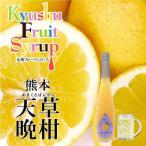 九州を飲む 九州果実 シロップ 天草 晩柑 500ml
