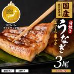 うなぎ蒲焼じっくり焼き約125g×3尾