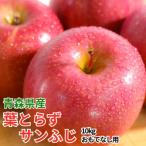 青森りんご トキ 約10kg