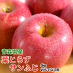 平均糖度13度以上 青森りんご 葉とらずサンふじ 約5kg