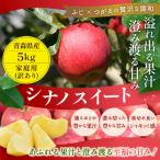平均糖度13度以上 王林 約5kg