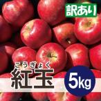 ふるさと納税 黒石市  紅玉 約5kg 訳あり