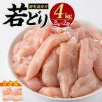 まつぼっくり 若どりささみ 4kg_matu-7203