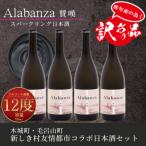 ふるさと納税 木城町 【訳あり】令和6年産 スパークリング日本酒「Alabanza」〜賛嘆〜4本 K21_0015_2