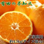 有田の不知火約4.5kgご 向け サイズ混合