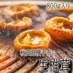 肉厚ジューシー 生しいたけ詰め合わせ 800g