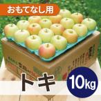 青森りんご トキ 約10kg