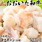 おおいた和牛ホルモン コプチャン 200g×3