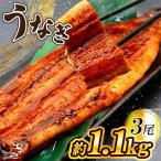 ふるさと納税 宇美町 うなぎ 約1.1kg!茶葉蒸し有頭鰻かば焼 3尾