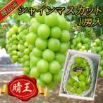 ふるさと納税 津山市 【2025年8月下旬以降順次発送】岡山名産【晴王】シャインマスカット1房約650g秀品!