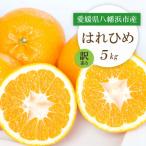 はるみ5kg