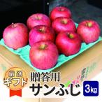 産りんご 葉とらずサンふじ 約3kg