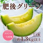 産肥後グリーンメロン1玉 約1.3kg