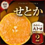 三代目の柑橘の大トロ 2kg