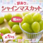 ふるさと納税 青森市 美味しさは「寒暖差」にあり 粒だけ!青森市産【訳あり】シャインマスカット(約1kg)