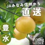 ふるさと納税 豊丘村 【南信州産】豊水梨 秀品 約10kg 16〜36玉 9月上旬〜順次発送