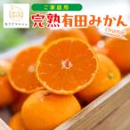 ふるさと納税 広川町 【先行受付 11月から順次発送】有田育ちのご家庭用完熟有田みかん1kg+100g(痛み補償分)